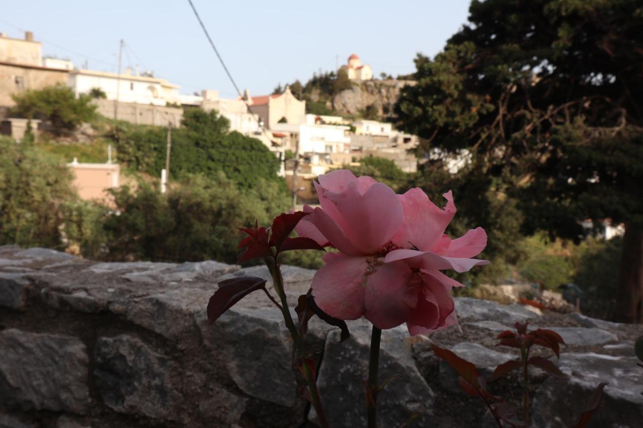 Villa Petasos House - Garden - Sea View à Sellía Extérieur photo