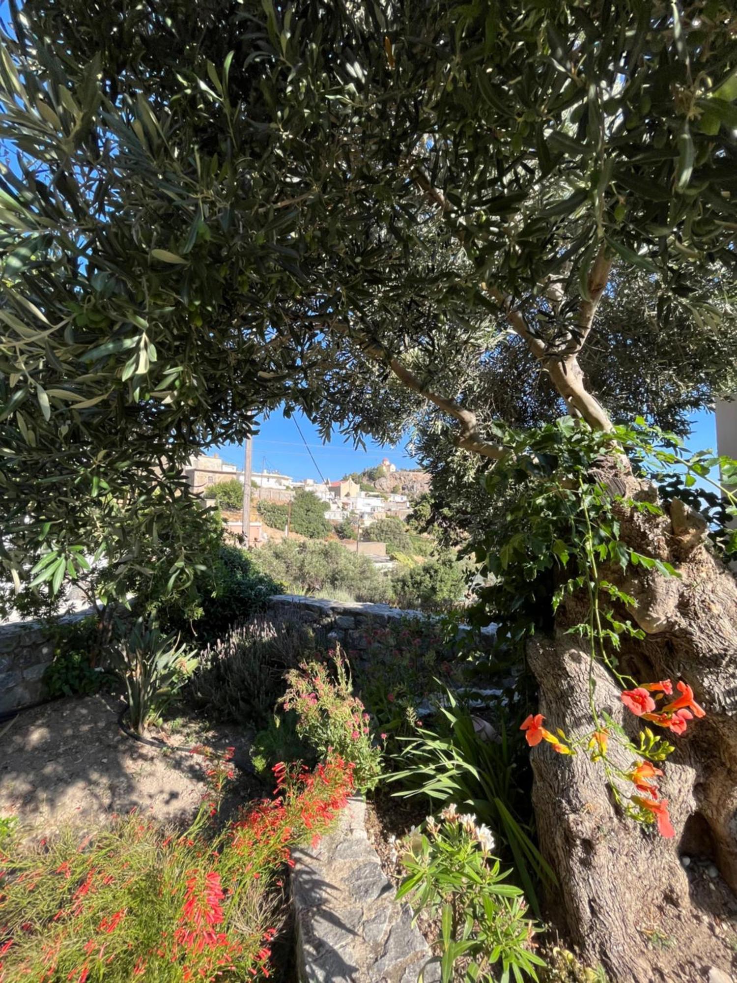 Villa Petasos House - Garden - Sea View à Sellía Extérieur photo