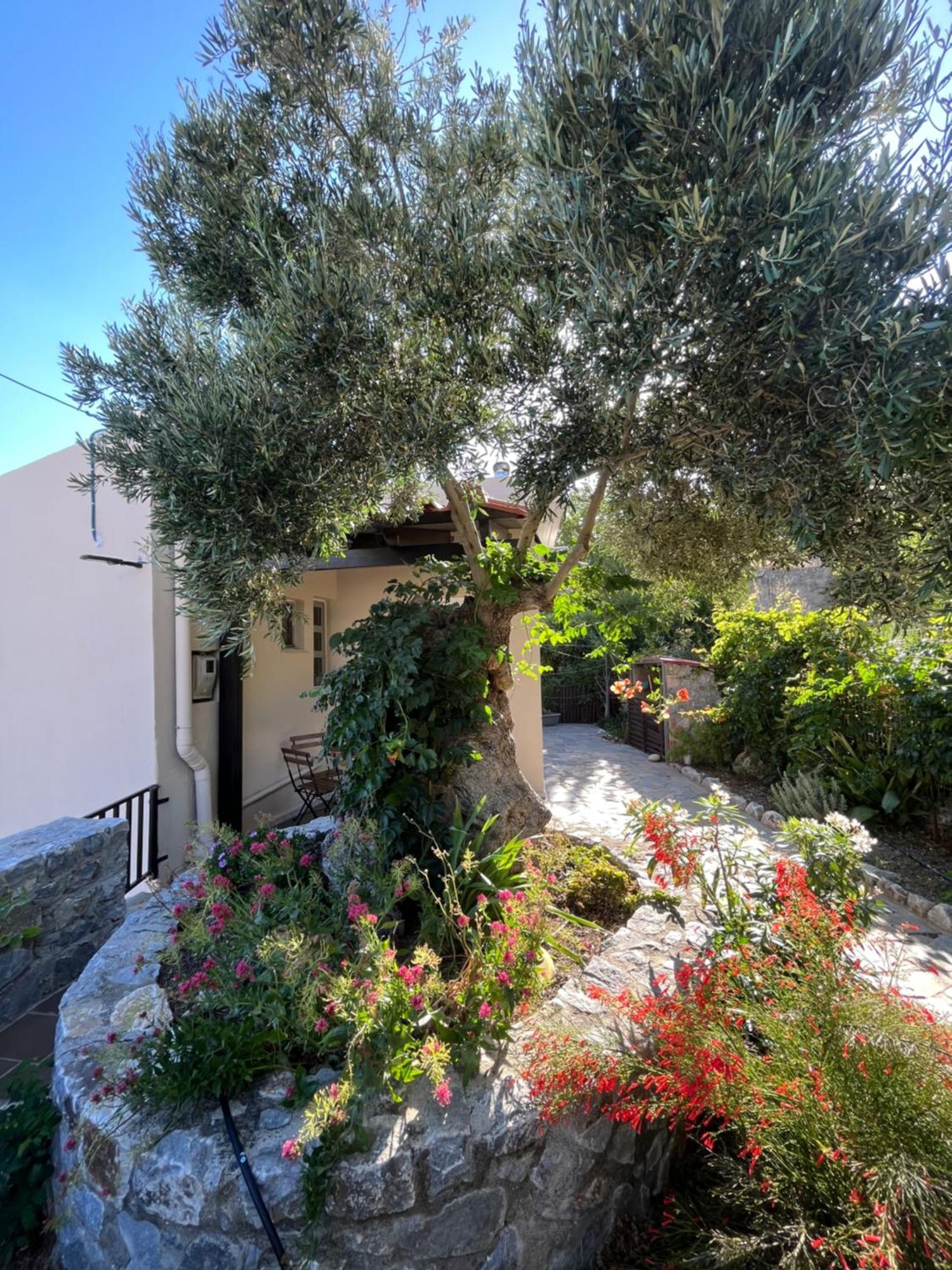 Villa Petasos House - Garden - Sea View à Sellía Extérieur photo